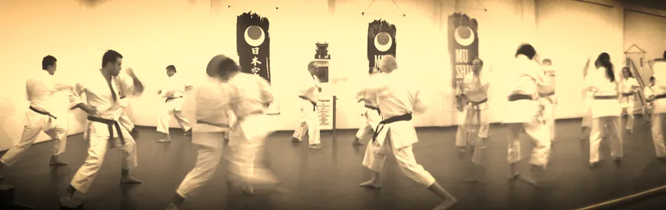 Treino no dojo Mushinkan, com os banners do dojo ao fundo