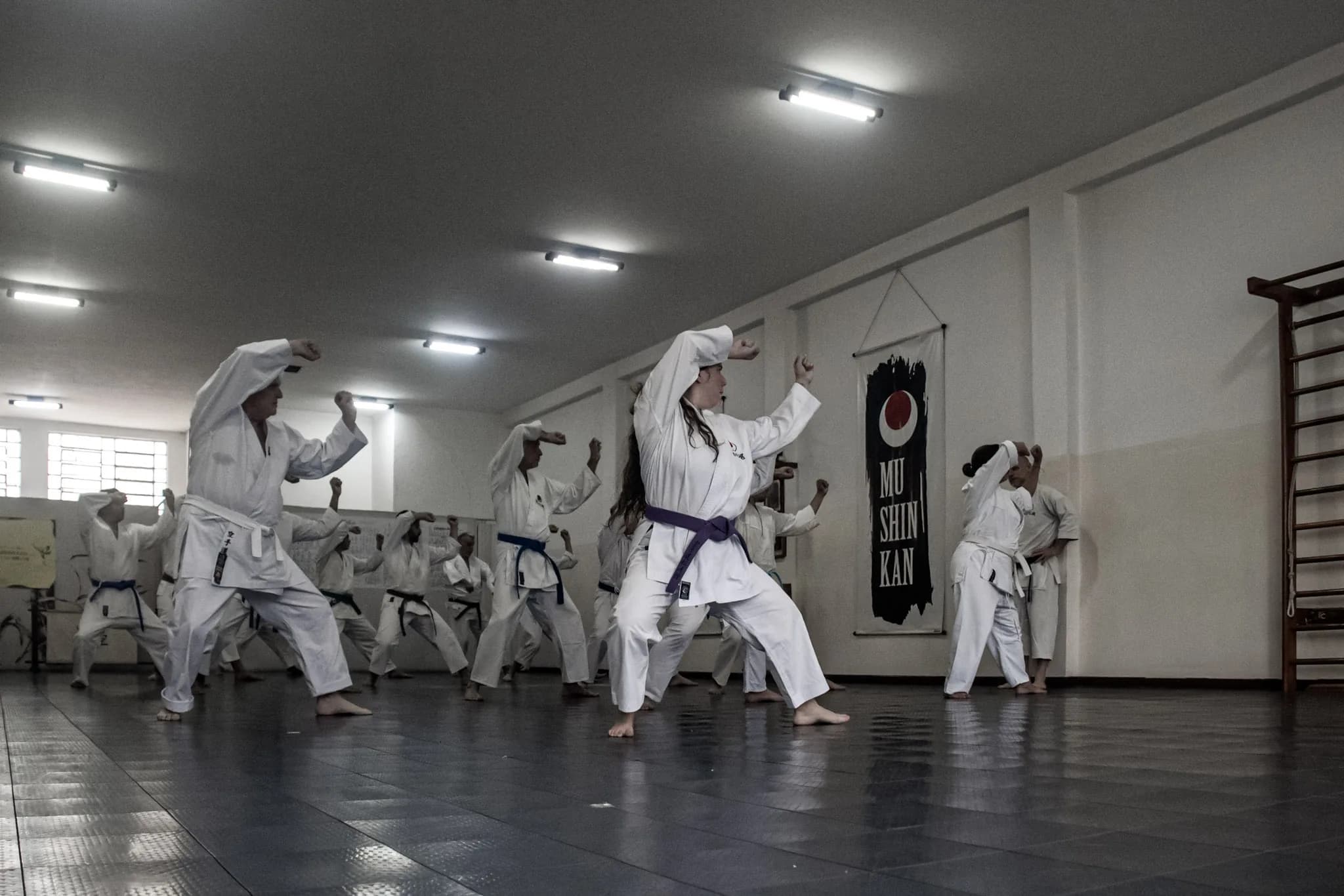 Turma adulta em treino no tatame do Mushinkan, com o banner do dojo ao fundo