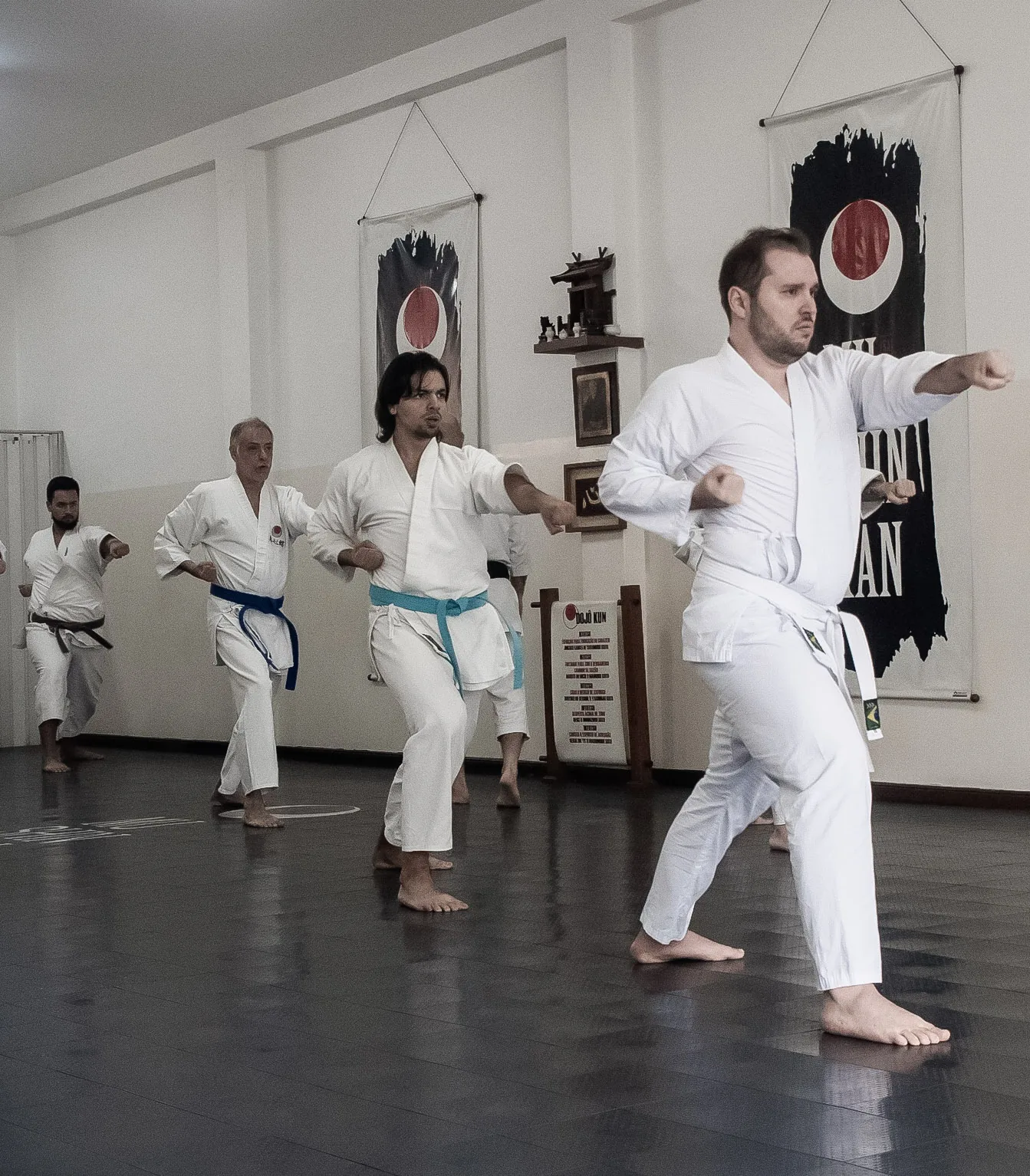 Treino